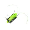 Solar Energy Toys Groothandel Solar Grasshopper Insect Bug Moving Toy Lovely Funny Mini Solar Toy Insect Teaching Fun Gadget Toy Cadeau