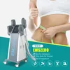 Itens de beleza de saúde em gordura emszero constroem músculos Machine DLS-EMSLIM 14 Tesla Hi-EMT com 4 PCs Handles com almofadas de estimulação pélvica opcional