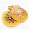 Perle Akoya de haute qualité, perle d'eau de mer d'amour, rouge, tendance, cadeau Surprise, livraison directe, bijoux, perles en vrac, 6-7mm, Dhwrq