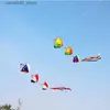 Kite Accessories free shipping 3d kite windsocks kite tails flying outdoor game sport for adults kite accessories nylon fabric kite Snow sled air Q231103