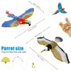 Jouets pour chat oiseau volant jouet simulé aigle interactif chien intéressant suspendu perroquet rotatif taquin jouer chaton animal de compagnie