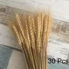 Decorative Flowers Natural Tail Grass Dried For Decor Lagurus Bouquet Boho Indoor Coffee Table Decoration