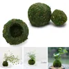 Fleurs décoratives 6/9CM boule de mousse verte Pot de fleur bonsaï bricolage jardinage décoration de Table à la maison