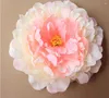 Fleurs décoratives 18 cm Soie Artificielle Pivoine Tête De Mariage Arrangements Tissu Cheveux Chapeau Vêtements Poignet Robe Décoration 30 pcs