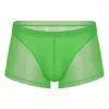 Onderbroek semi-transparante herenboxer shorts u build zakje naadloos sexy heren ondergoed lage taille mesh dunne slipjes cuecas