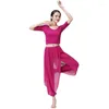 Stage Wear Adulti Donne Pantaloni da ballo per Yoga Ballet Harem Chinese Folk Classical Chiffon Ballroom Practice