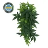 Flores decorativas plástico decoração de réptil aquático artificial plástico aquário decoração de terrário tanque água pendurado suculentas videira betta