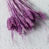 Decorative Flowers 10-50Pcs Natural Dried Gem Grass Phalaris Aesthetic Home Decor Artificial Flower Colorful Jewelry Party Wedding