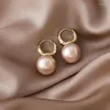 Orecchini a cerchio moda trendy imitazione perla palla goccia per donne ragazze stile chic gioielli estivi MS246