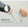 Dog Collars Pet Fashion Traction Rope Watch Wristband Nylon Walking Chain Fadou Samoye Gold Hair Durable