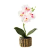 Decorative Flowers Artificial Potted Butterfly Orchid Flower Bonsai Fake Garden DIY Wedding Part Desktop Home Decor