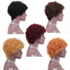 Short Colorful Human Hair Capless Machine Made Wigs Glueless None Lace Afro Curly Wig