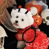 Vestuário para cães Produtos para animais de estimação COSPLAY Halloween com asas Red Lady Bugs Saia Teddy Puppy Festival Acessórios