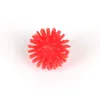 Helkropp Spiky Bayberry Massage Ball Toys Hard Stress Relief Ball 3cm för Fitness Sport träning Boll Hedgehog Sensory Training GRIP Bollen 2051