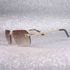 2023 Tasarımcı Gözlükleri Yeni Vintage Leopar Tarzı Güneş Gözlüğü Erkekler Çıkarsız Metal Çerçeve Açık Gözlük Açık Mekan Aksesuarları Oculos Oval Tonları