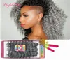 Sooft 23lot One Head Tress Synthetic Braiding Hair Preloopかぎ針編みの髪の拡張ブラジルの髪の束プリループSavana J8548976
