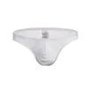 Sous-vêtements hommes sexy dentelle lingerie mini slips maille pure culotte de sous-vêtements transparent bikini érotique gay slips