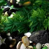 Fleurs décoratives Plastique Artificielle Reptile Aquatique Décorations Aquarium Terrarium Décor Réservoir Eau Suspendue Succulentes Vigne Betta