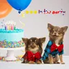 Hondenkleding Atuban Plaid Puppy Shirt-schakeljongen en vlinderdie Combo-outfit voor kleine honden katten Verjaardagsfeestje Holiday Pos