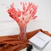 Dekoratif Çiçekler 10-50 Adet Doğal Kurutulmuş Gem Çim Phalaris Estetik Ev Dekor Yapay Çiçek Renkli Takı Parti Düğün