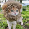 Costumes de chat Cosplay, décorations de fête et de vacances, perruque de chiot Lion, chapeau amusant pour animaux de compagnie, crinière pour chiens, fournitures