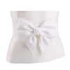 أحزمة Big Bow Tie Band Bowknot مرنة على نطاق واسع نساء نساء نسائي الفتيات حزام أزياء الحزب فستان سيدة تزيين