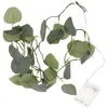 Decoratieve bloemen 20-geleide wijnstok voor slaapkamer touwlicht LED EUCALYPTUS GARLAND MET LICHTEN