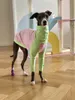 Vestuário para cães pequenos e médios roupas primavera / verão fino pet huibit galgo italiano cães acessórios filhote de cachorro