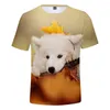 T-shirts masculins mignons samoyed 3d T-shirt imprimé rue harajuku kpop chien chien et femmes vêtements à manches courtes