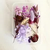 Dekorative Blumenmischung, getrocknete Blumen, Materialpaket, Feiertagsaktivität, Blumenprodukte, DIY, verstreut, konservierte frische Gypsophila-Rose