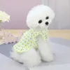 Hundkläder valp kjol kläder sommar Yorkshire Yorkies kläder pomeranian maltese schnauzer poodle bichon frise husdjur klänning dropship