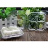 Take Out Containers 100pcs Disposable Transparent Plastic Boxes Hinged Lid Four-grid Takeout Food For Desserts Fruits