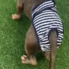 Vêtements pour chiens couches à rayures lavable pantalon physiologique réglable chiot culotte sous-vêtements femme Diper outil Honden Kleding