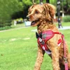 Vestidos de vestuário para cães para cães pequena menina yorkie filhote de cachorro roupas espartilho conjunto com armário máximo