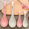 Bowls 2 Pcs Asian Ramen Soup Scoop Chinese Spoons Dessert Japanese Spoon Ladle Style Plum Blossom