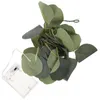 Decoratieve bloemen 20-geleide wijnstok voor slaapkamer touwlicht LED EUCALYPTUS GARLAND MET LICHTEN