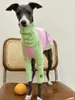 Vestuário para cães pequenos e médios roupas primavera / verão fino pet huibit galgo italiano cães acessórios filhote de cachorro