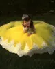 Robes de fille jaune princesse robe de fleur dentelle tulle gonflé volants dégonflés motif floral robe de bal fête d'anniversaire vêtements de concours