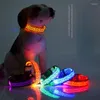 Collari per cani Collare luminoso a LED per animali domestici Leopardo Bagliore regolabile Sicurezza notturna per cani da passeggio Teddy Golden Retriever