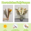 Decorative Flowers Dried Pampas Grass Decor Natural Fluffy Feathers Flower Bouquet Boho Home Wedding Party Arrangement