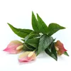 Fiori decorativi Simulazione Anthurium Andraeanum Lind Fiore finto Verde Foglie verdi Decorazioni per la casa Floricoltura Decorazione da tavolo