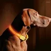 Colliers pour chiens moyen-grand collier lumineux de charge USB LED Golden Retriever Doberman Labrador accessoires