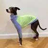 Vestuário para cães pequenos e médios roupas primavera / verão fino pet huibit galgo italiano cães acessórios filhote de cachorro