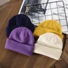 Berets Autumn And Winter Pure Color Light Plate Rolled Edge Knitted Hat Outdoor General Leisure Warm Wool Wholesale