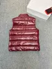 冬のレディースダウンベストファッションデザイナー女性Gilet NFCバッジ卸売小売女性パフジャケット無料交通機関サイズ1-5