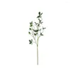 装飾的な花のシミュレーション植物枯れない非フェディング人工枝の偉大な忠実な現実的なトゥーンの葉キャメリア葉