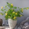 Fiori decorativi 1 pz Sophora Acacia Ramo artificiale per la casa fai da te Disposizione floreale Ornamenti Decorazione della festa nuziale Falso