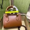 10A najwyższej jakości mody to torby dla kobiet 20 cm designerskie torby na ramię Lady Crossbody Bag Diana Jumbo Mini Tote Bags Luksusowe torebki Brązowy kolor Darmowy wysyłka