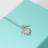 Hanger kettingen liefde sleutel vrouwelijke ketting t familie hart Engels hangende tag Rose goud Tiffanyitysee ketting sterling zilver 925 sleutel slot bot liefde ketting