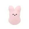 Chirdren Toys Plush Doll 2023 New Easter Bunny Toys Easter Cartoon Rabbit Dolls for Party6217532
